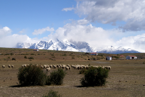 Torres del Paine