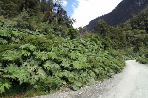 Carretera Norden