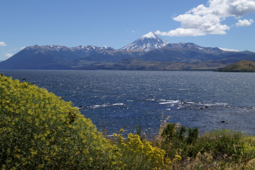 Lanin