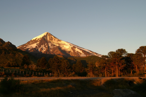 Lanin