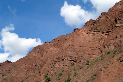 Salta