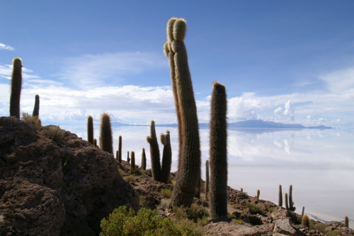 Uyuni