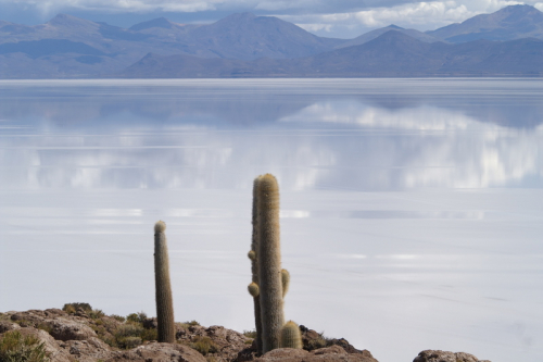 Uyuni
